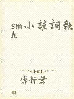 sm小说调教高h