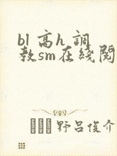 bl 高h 调教sm在线阅读