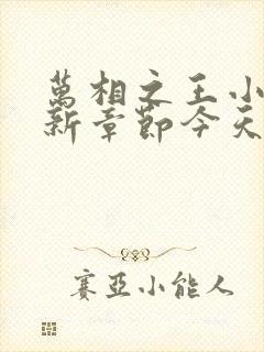 万相之王小说最新章节今天