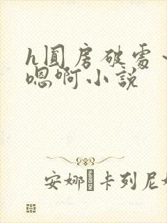 h圆房破处～h嗯啊小说封面