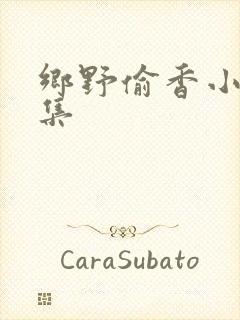 乡野偷香小说全集