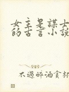 女主是谋士军师的古言小说封面