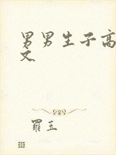 男男生子高辣h文