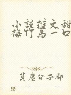 小说推文甜文青梅竹马一口气看完