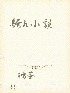 骚h小说