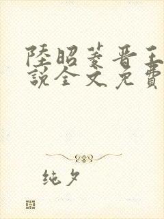 陆昭菱晋王的小说全文免费阅读纵横封面