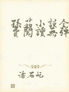 孙茹小说全文免费阅读无弹窗