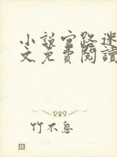 小说官路迷局全文免费阅读封面