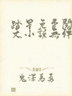 踏星免费阅读全文小说无弹窗