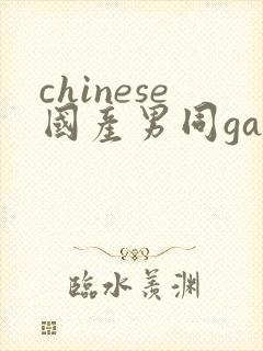 chinese国产男同gaygay网站