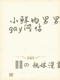 小鲜肉男男同性gay网站封面