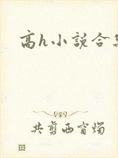 高h小说合集伦