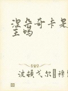 涅朵奇卡是双女主吗