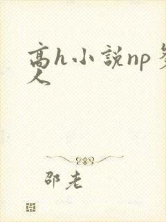 高h小说np多人