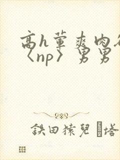 高h荤爽肉欲文〈np〉男男封面