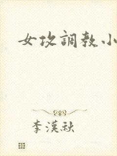 女攻调教小说