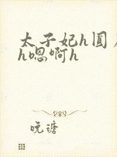 太子妃h圆房～h嗯啊h