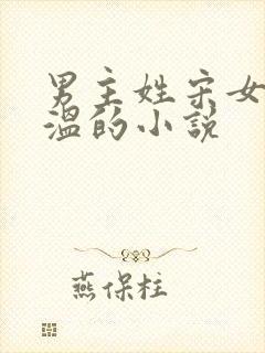 男主姓宋女主姓温的小说