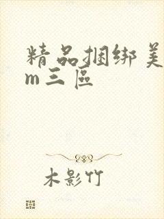 精品捆绑美女sm三区