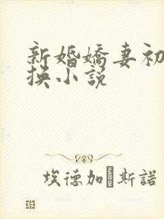 新婚娇妻初尝交换小说封面