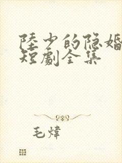 陆少的隐婚罪妻短剧全集封面