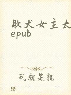 败犬女主太多了epub