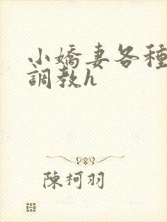 小娇妻各种姿势调教h