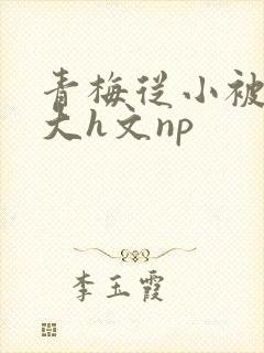 青梅从小被肉到大h文np