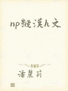 np糙汉h文