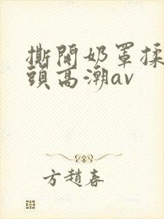 撕开奶罩揉吮奶头高潮av