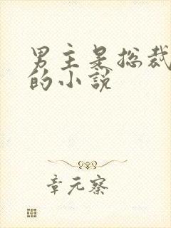 男主是总裁姓沈的小说