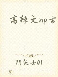 高辣文np古言封面