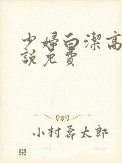 少妇白洁高义小说免费