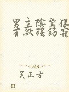 男主阴鸷狠戾占有欲强的宠文