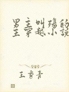 男主叫殇的,女主穿越小说