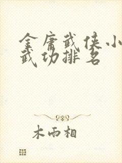 金庸武侠小说中武功排名封面