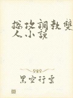 总攻调教双性美人小说封面