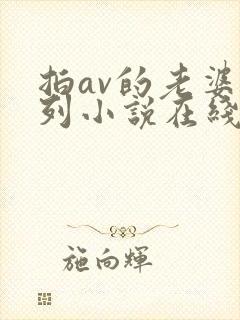 拍av的老婆系列小说在线阅读