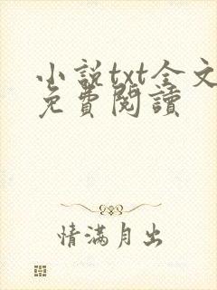 小说txt全文免费阅读