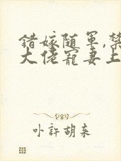 错嫁随军,禁欲大佬宠妻上瘾txt下载