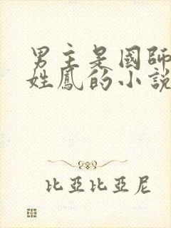 男主是国师女主姓凤的小说