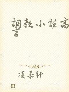 调教小说高h古言