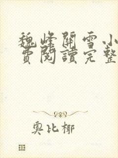 魏峰关雪小说免费阅读完整版封面