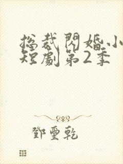 总裁闪婚小娇妻短剧第2季封面