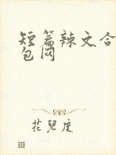 短篇辣文合集书包网