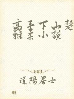 高手下山楚南秦雅柔小说封面