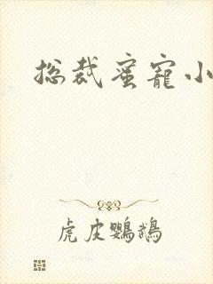 总裁蜜宠小娇妻