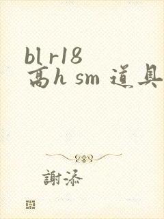 bl r18 高h sm 道具 文