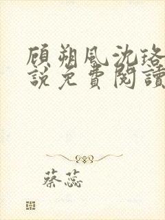 顾朔风沈珞舒小说免费阅读最新章节