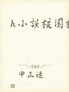 h小说校园校花封面